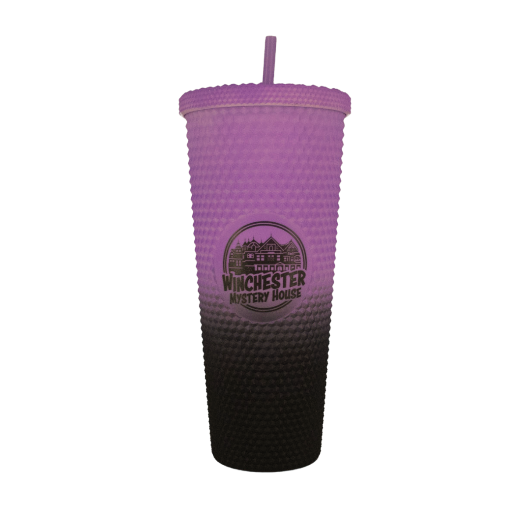 Winchester Mystery House Black And Purple Tumbler