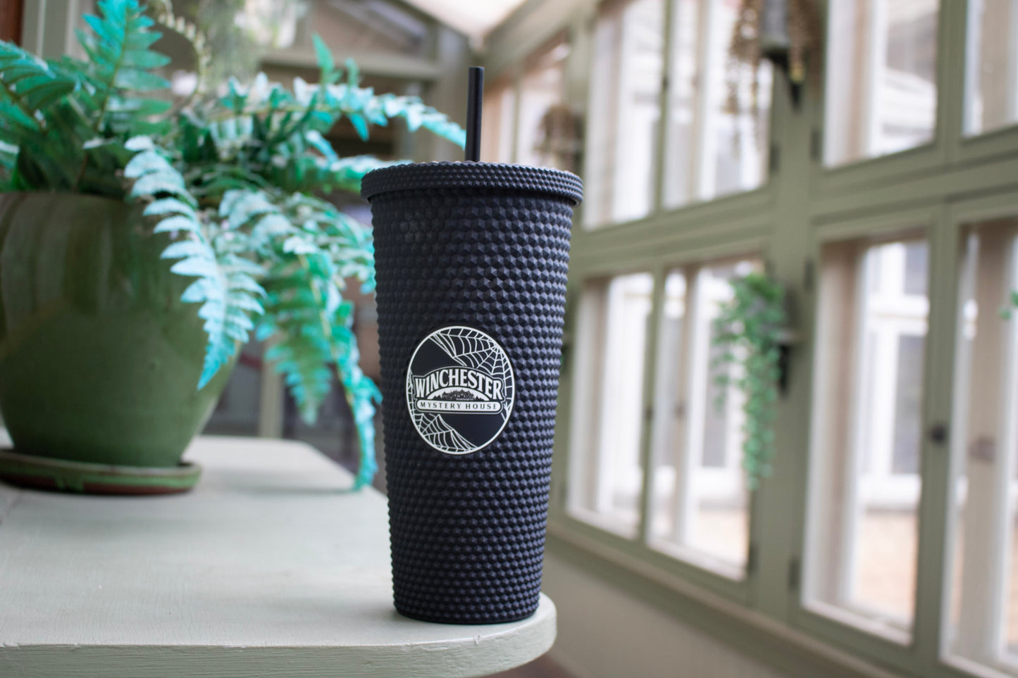 Winchester Mystery House Black Tumbler