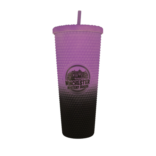 Winchester Mystery House Black And Purple Tumbler